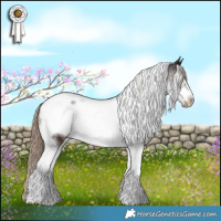 Horse Color:Liver Chestnut Tobiano Frame