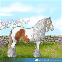 Horse Color:Chocolate Palomino Tobiano 