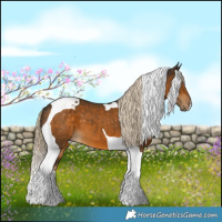 Horse Color:Chocolate Palomino Tobiano 