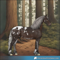 Horse Color:White Spotted Silver Brown Tobiano Appaloosa