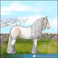 Horse Color:Cremello Dun Tobiano