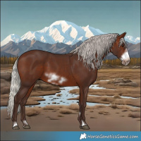 Horse Color:Silver Brown Frame 