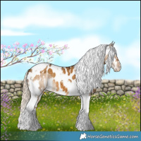 Horse Color:Chocolate Palomino Dun Tobiano Near Leopard Brindle 