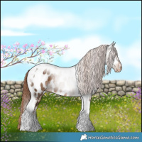 Horse Color:Liver Red Dun Tobiano Near Leopard Brindle 