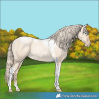 Horse Color:Chocolate Palomino Pearl Dun Tobiano