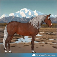 Horse Color:Silver Brown 