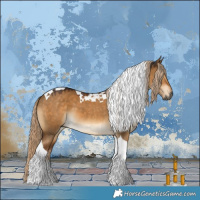 Horse Color:Gray Chocolate Palomino Dun Tobiano 
