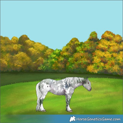 Horse Color:Watercolor White Spotted Silver Brown Chinchilla Ice 