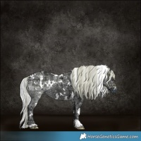 Horse Color:Plaid White Spotted Silver Brown Chinchilla Ice