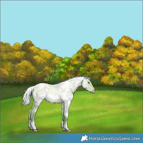 Horse Color:Watercolor White Spotted Silver Brown Ice Roan Pearl 