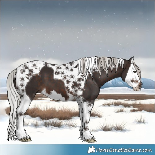 Horse Color:Silver Brown Splash Tobiano 