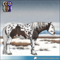Horse Color:Silver Brown Splash Tobiano