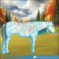 Horse Color:Thunderstruck Buckskin Ice Sabino 