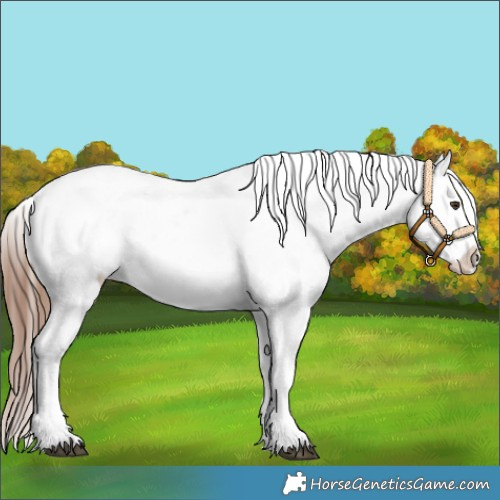 Horse Color:Chestnut Tobiano Snowflake Varnish