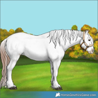 Horse Color:Chestnut Tobiano Snowflake Varnish