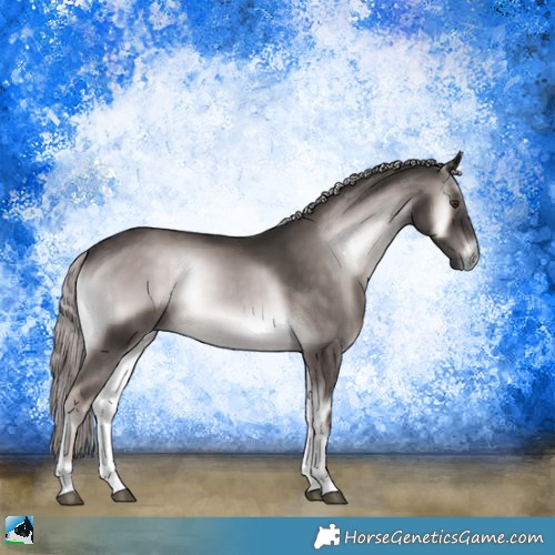 Horse Color:Platinum Chocolate Palomino Onyx