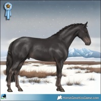 Horse Color:Platinum Liver Chestnut Rabicano 