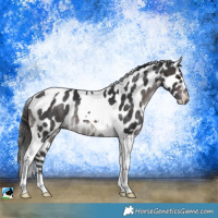Horse Color:Platinum Brown Mushroom Tobiano Leopard Rabicano 