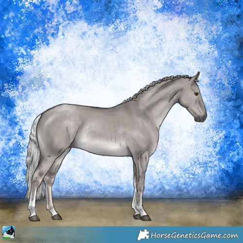 Horse Color:Platinum Chocolate Palomino Dun Tobiano Rabicano 