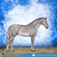 Horse Color:Platinum Chocolate Palomino Dun Tobiano Rabicano 
