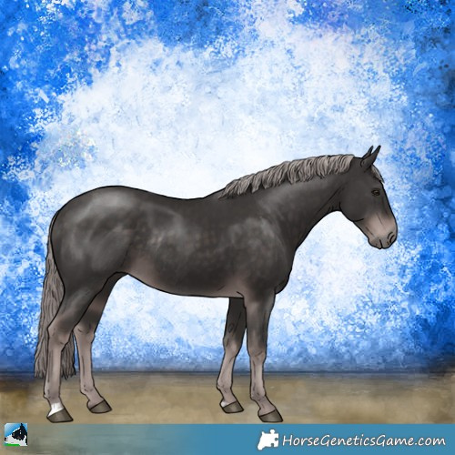 Horse Color:Platinum Liver Chestnut Rabicano 