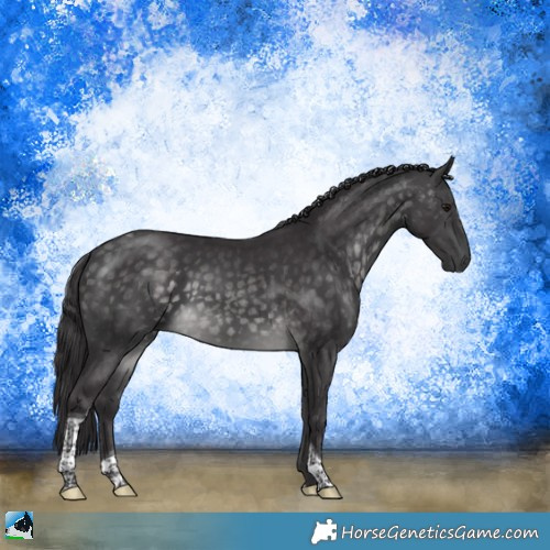 Horse Color:Platinum Buckskin Tobiano Rabicano 