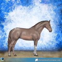 Horse Color:Platinum Chestnut Tobiano Rabicano 
