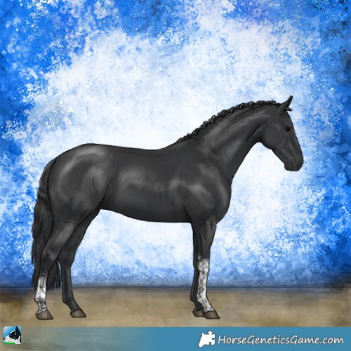 Horse Color:Platinum Black Tobiano Rabicano