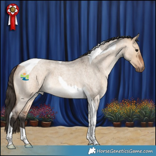 Horse Color:Bay Roan Dun Tobiano 