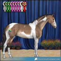 Horse Color:Brown Dun Tobiano 