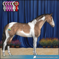 Horse Color:Brown Dun Tobiano 