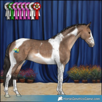Horse Color:Brown Dun Tobiano 