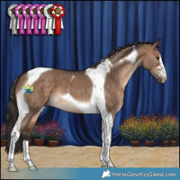 Horse Color:Brown Dun Tobiano 