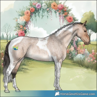 Horse Color:Bay Roan Dun Tobiano