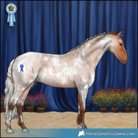 Horse Color:White Spotted Silver Bay Roan 
