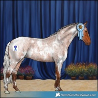 Horse Color:White Spotted Silver Bay Roan 