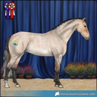 Horse Color:Bay Roan Dun 