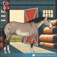 Horse Color:Brown Dun