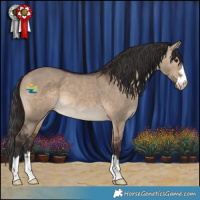 Horse Color:Brown Dun 