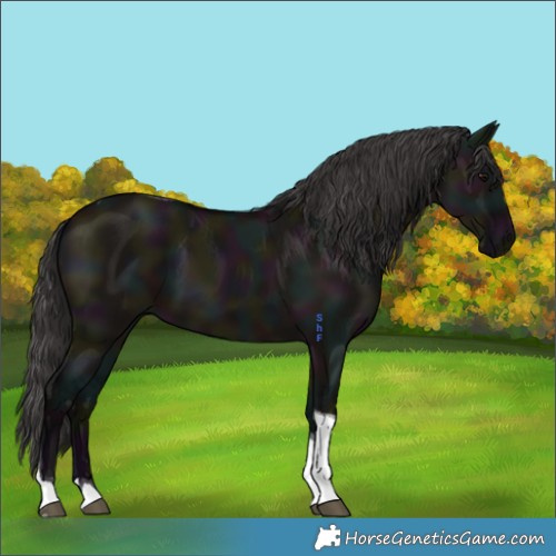 Horse Color:Midnight Smoky Grullo Tobiano 