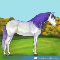 Horse Color:Watercolor Buckskin Roan Splash 