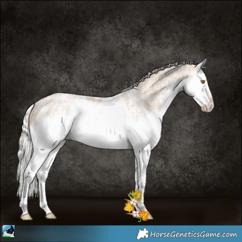 Horse Color:Silver Black Ice Pearl Sabino Splash 