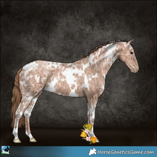 Horse Color:White Spotted Black Ice Pearl 