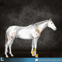 Horse Color:White Spotted Brown Pearl Onyx Splash Tobiano