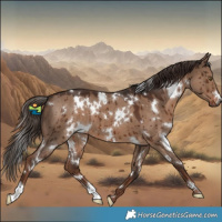 Horse Color:White Spotted Liver Red Dun Brindle 
