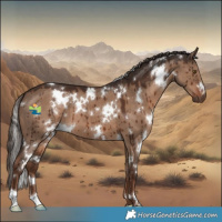 Horse Color:White Spotted Liver Red Dun Brindle 