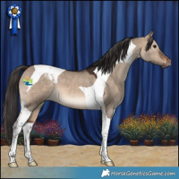 Horse Color:Brown Dun Tobiano