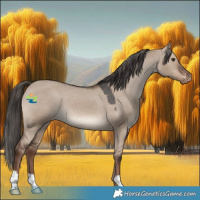 Horse Color:Liver Red Dun Varnish 