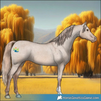 Horse Color:Red Dun Varnish 