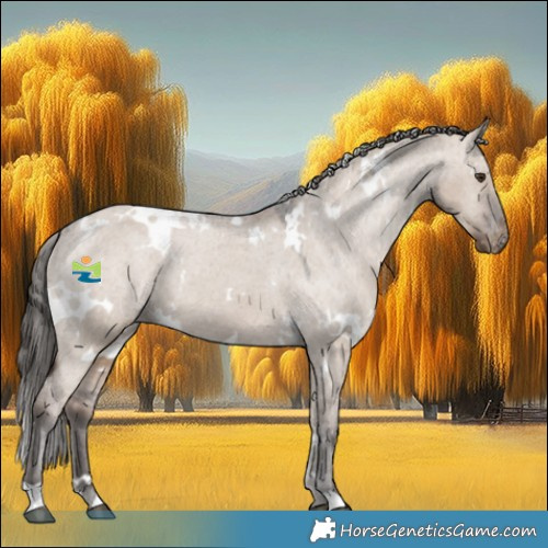 Horse Color:White Spotted Liver Red Dun Appaloosa 